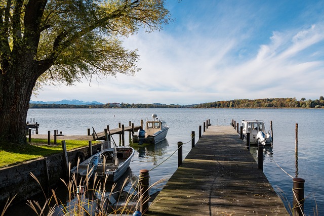 的决策显得 的决策显得