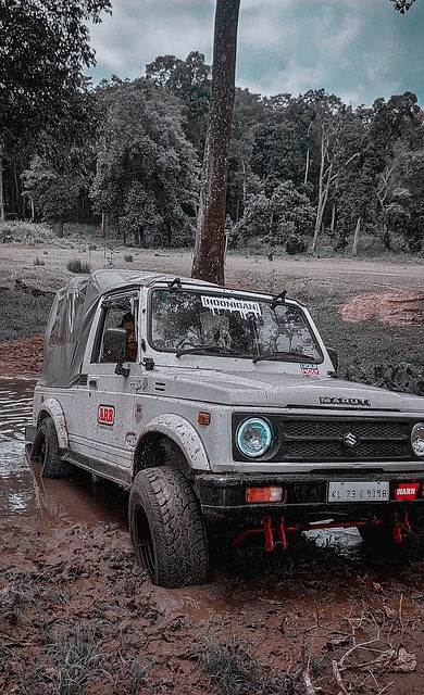 中国足球需 中国足球需