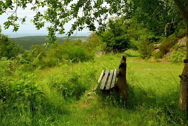 保持球队现 保持球队现